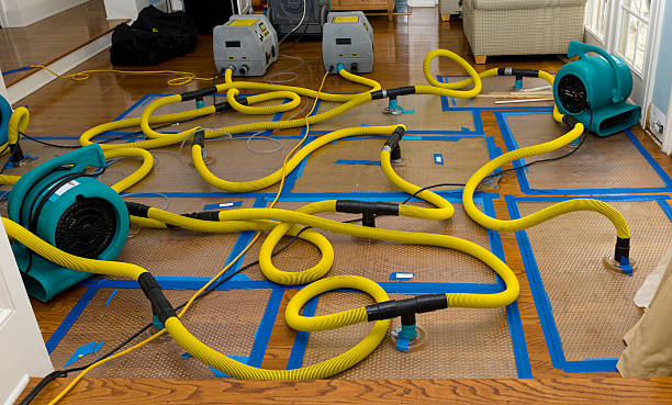 Professional Crawl Space Water Removal technician working in Wilson, TX